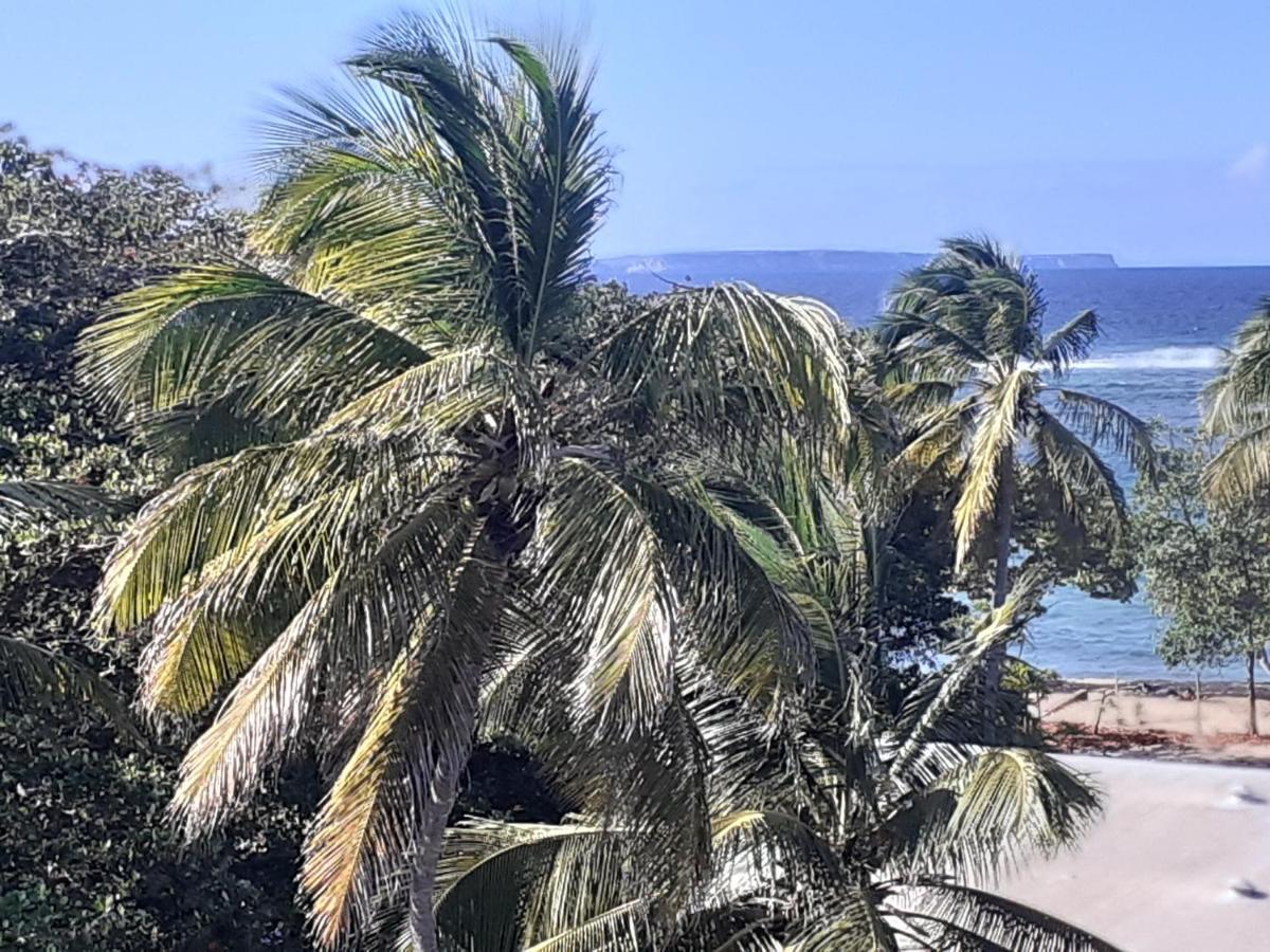 Studio Vue Sur Mer Le Moule Esterno foto